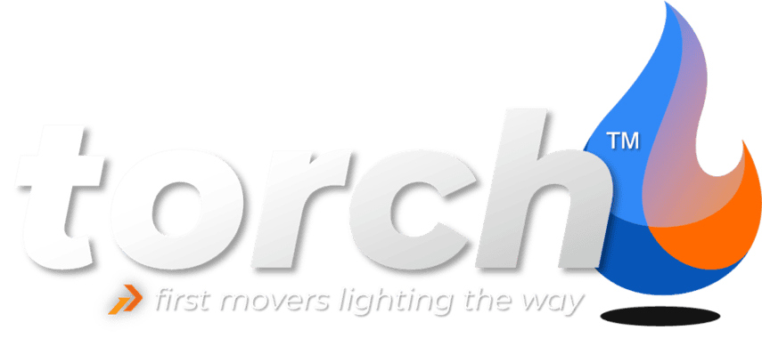 Torch program store